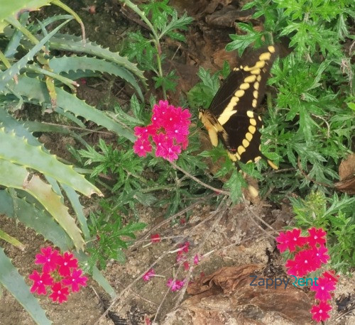 Trilocale in Rua Catalana, Napoli